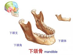 下颌角手术价格大概多少钱？3种手术方法特点科普，按需pick！