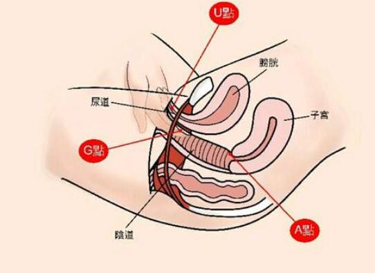 私密整形