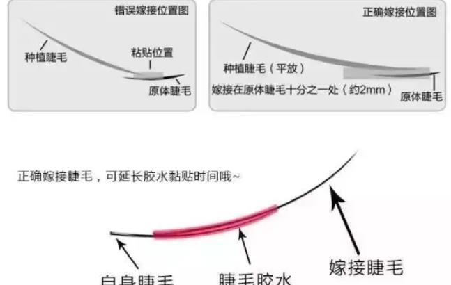 睫毛03.jpg