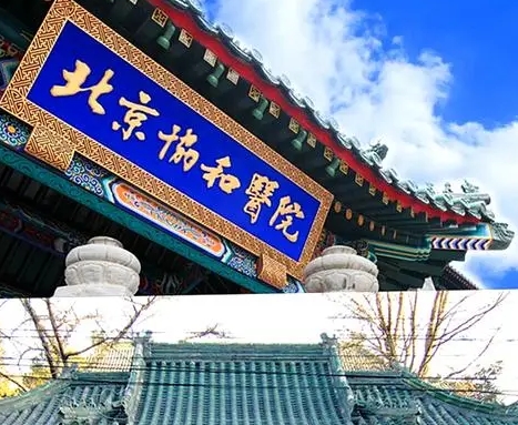 微信截图_20231012115750.jpg