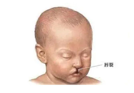 微信截图_20220417202958.jpg