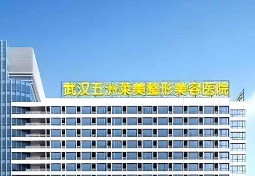 武汉五洲美莱.jpg 武汉五洲美莱.jpg