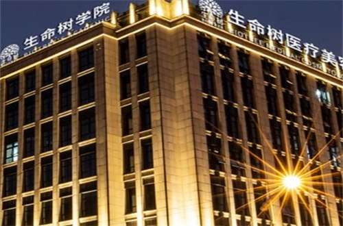 上海生命树医疗美容医生名单公布,优质+热门项目阐述