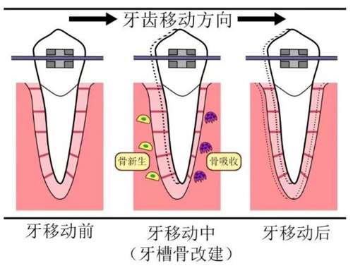 微信截图_20240905210541.jpg