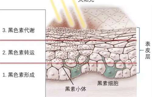 洁牙洗牙哪个好价格多少?洁牙后牙龈多久能恢复?
