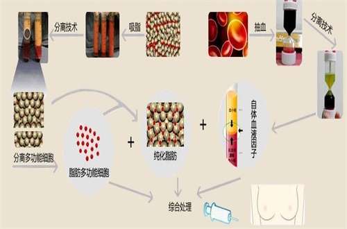微信截图_20240923193346.jpg