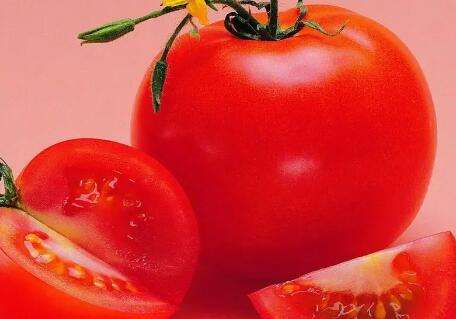 西红柿4.jpg