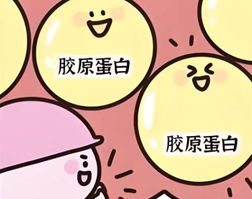 双美胶原蛋白价格是多少?双美胶原蛋白到底是什么?