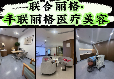 北京丰联丽格擅长哪些方面?项目与技术深度解读
