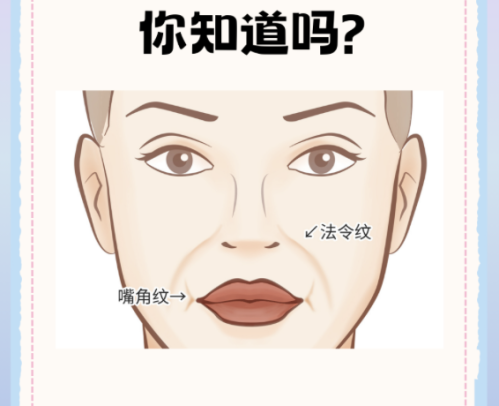 法令纹是脸上哪个部位？你认识的对吗？