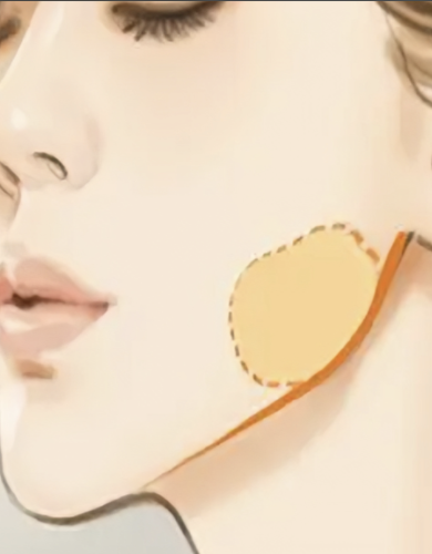 截屏2025-08-09 22.14.44.png