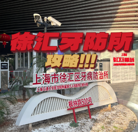 徐汇区牙防所种牙价格大揭秘！2025内部价曝光，公立老炮儿的坑与香全扒透