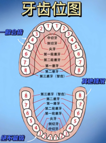 合川哪里弄牙齿好?3类靠谱机构+2份实测数据,普通人也能选对不踩雷