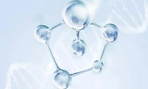 三型胶原蛋白哪个品牌好？成分纯度、口碑评价和适用人群解析