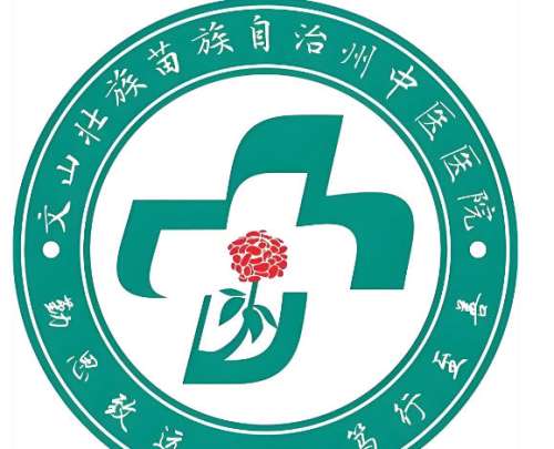 文山州中医医院.jpg