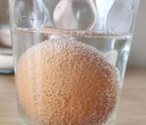 鸡蛋醋液.jpg