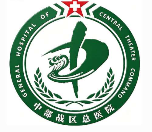 武汉中部战区总医院.jpg